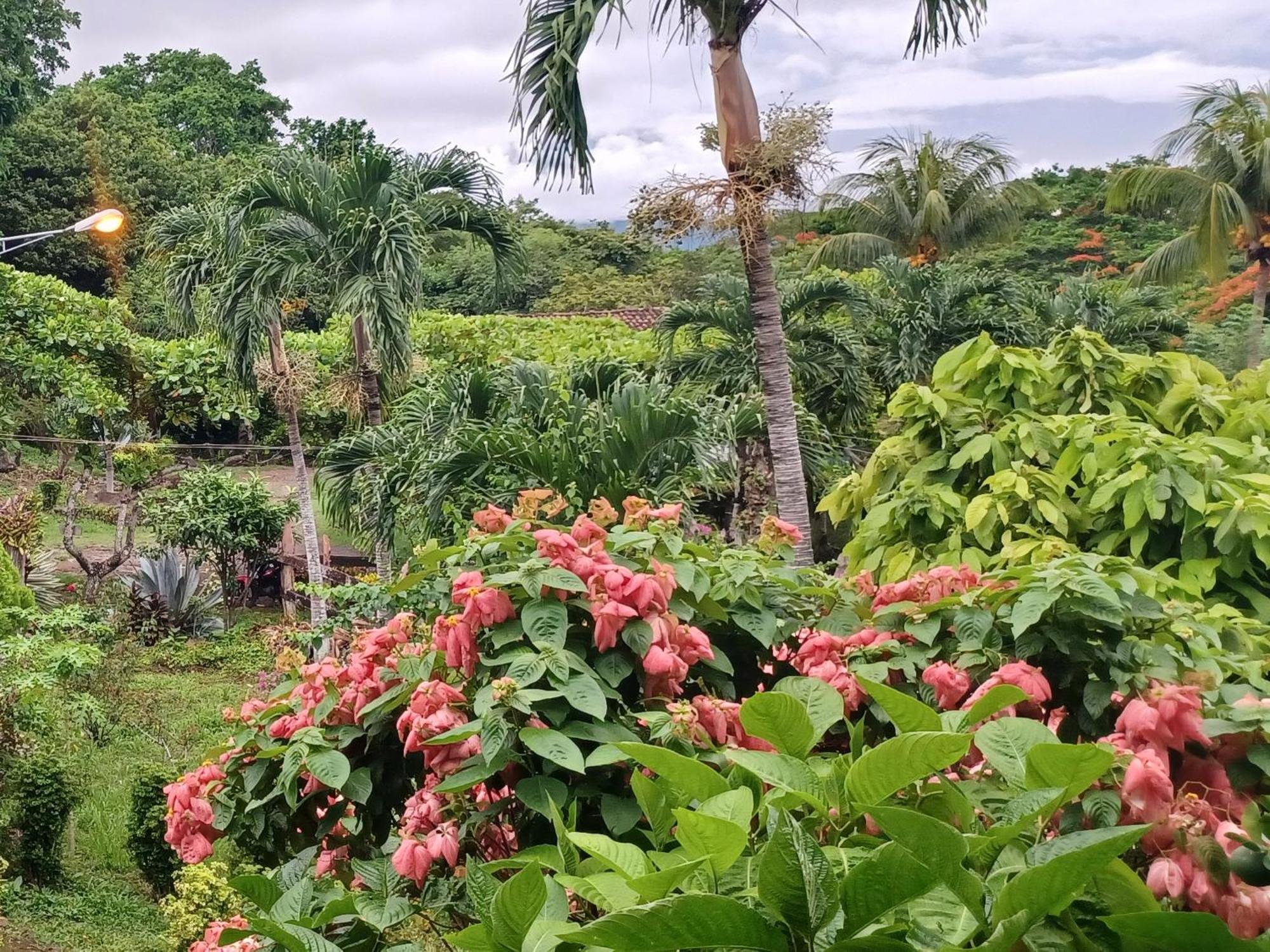 Finca Magdalena Eco Lodge Balgue Zimmer foto